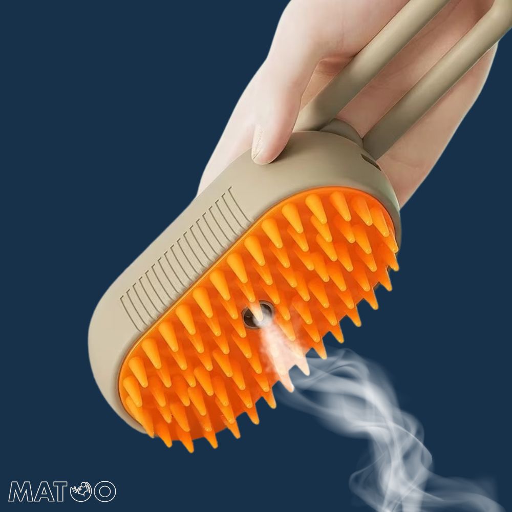 Brosse à vapeur