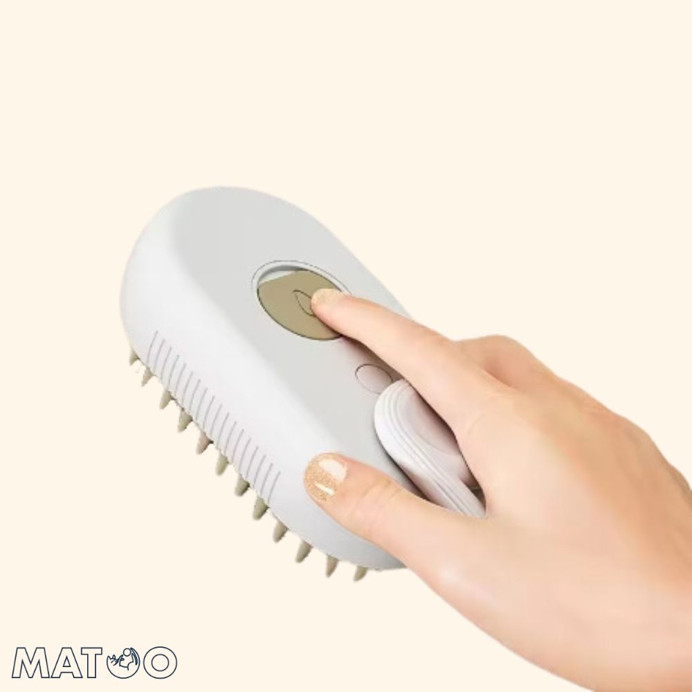 Brosse à vapeur