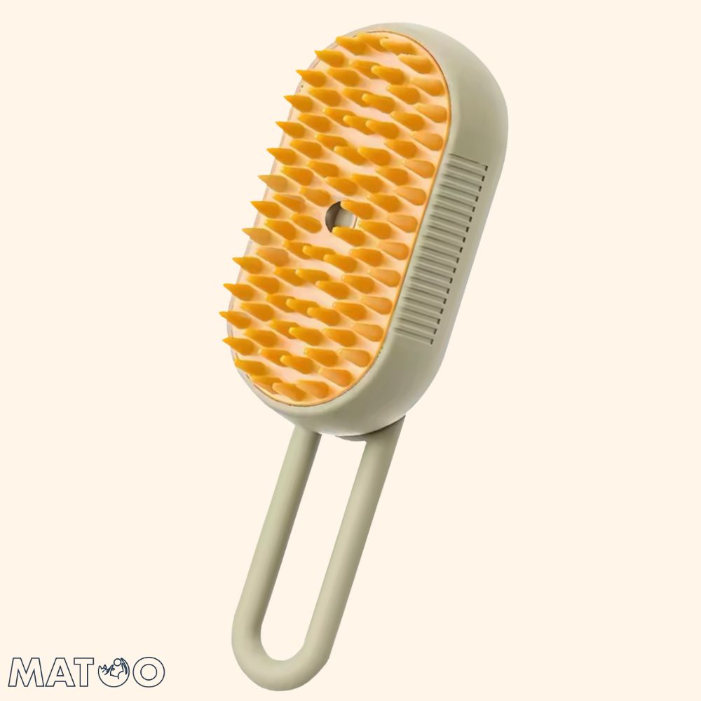 Brosse à vapeur