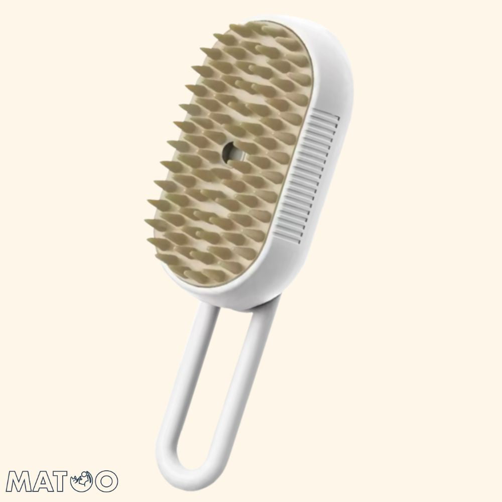 Brosse à vapeur