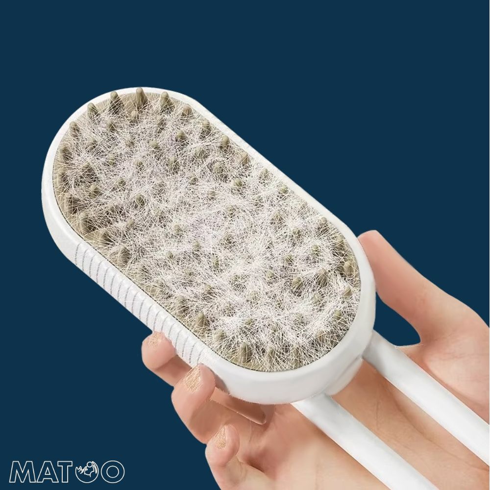 Brosse à vapeur